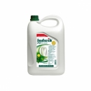 Płyn Ludwik miętowy 5l